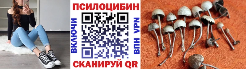Галлюциногенные грибы Psilocybine cubensis  МЕГА маркетплейс  Урюпинск 